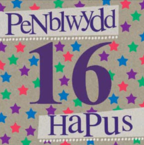 Penblwydd Hapus - 16