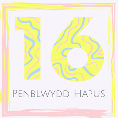 Penblwydd Hapus - 16