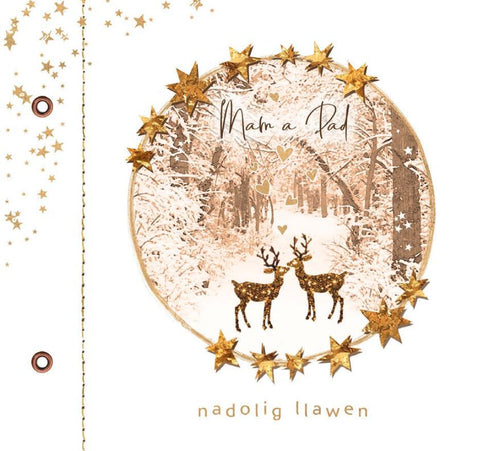 Nadolig Llawen Mam a Dad