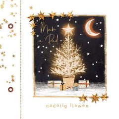 Nadolig Llawen Mam a Dad