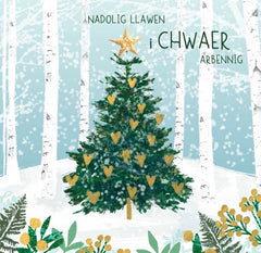 Nadolig Llawen i Chwaer Arbennig