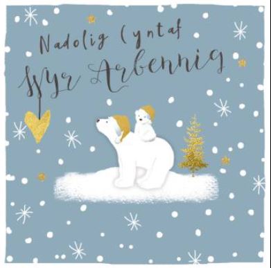 Nadolig Cyntaf Wyr Arbennig