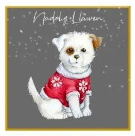 Nadolig Llawen (pack) |Nadolig Llawen (pecyn)