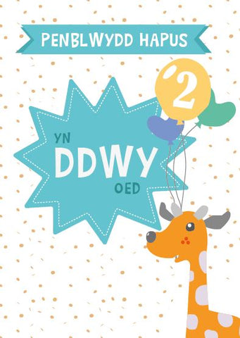 Penblwydd Hapus - 2