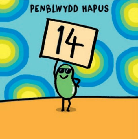 Penblwydd Hapus - 14