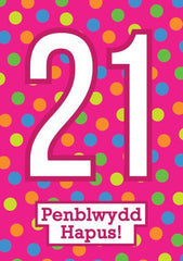 Penblwydd Hapus - 21