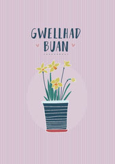 Gwellhad Buan