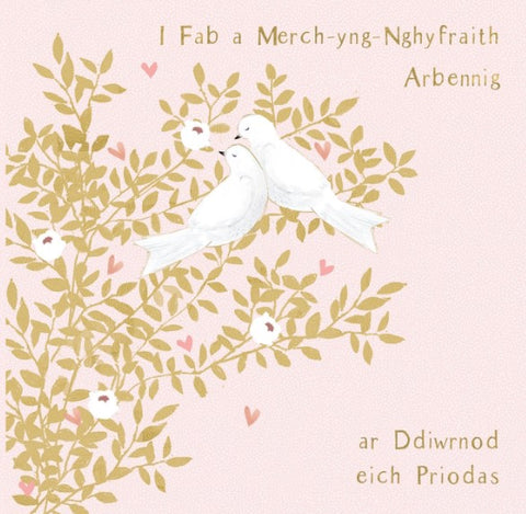 I Fab a Merch-yng-Nghyfraith Arbennig
