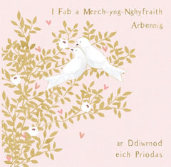 I Fab a Merch-yng-Nghyfraith Arbennig