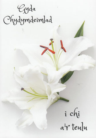 Gyda Chydymdeimlad i chi a'r teulu