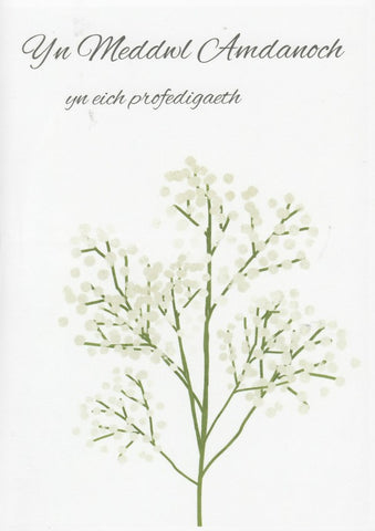 Yn Meddwl Amdanoch yn eich profedigaeth