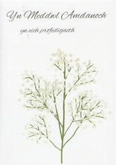Yn Meddwl Amdanoch yn eich profedigaeth