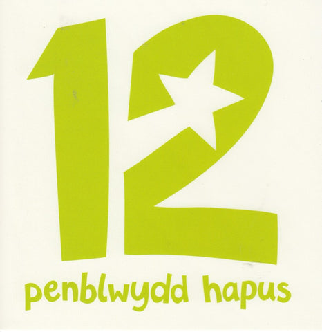 Penblwydd Hapus - 12