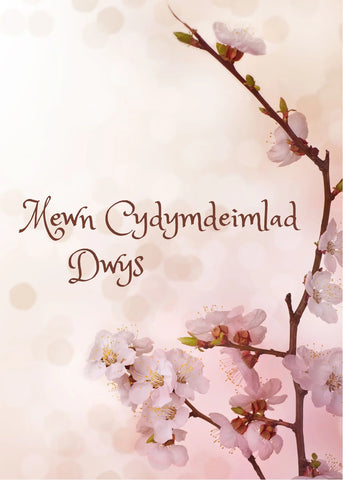 Mewn Cydymdeimlad Dwys