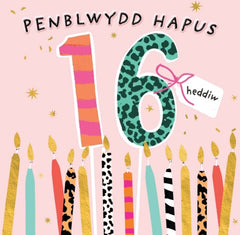 Penblwydd Hapus - 16