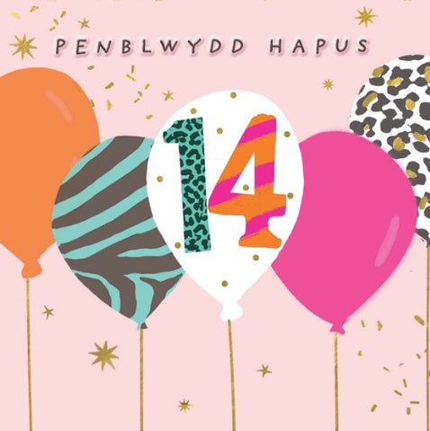 Penblwydd Hapus - 14