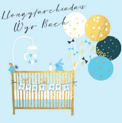 Llongyfarchiadau Wyr Bach