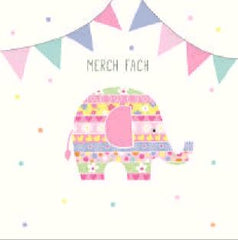 Merch Fach