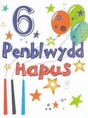Penblwydd Hapus - 6