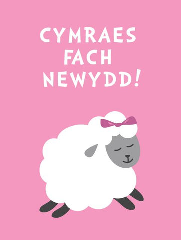 Cymraes Fach Newydd!