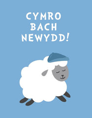 Cymro Bach Newydd!