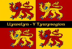 Llywelyn Magnet|Magned Llywelyn, Y Tywysogion
