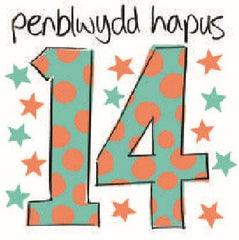 Penblwydd Hapus - 14