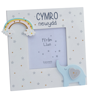 Cymro Newydd