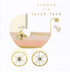 Croeso i'r Ferch Fach