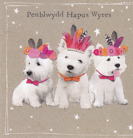 Penblwydd Hapus Wyres