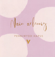 Nain Arbennig - Penblwydd Hapus