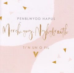 Penblwydd Hapus Merch-yng-Nghyfraith