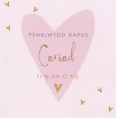 Penblwydd Hapus Cariad, Ti'n un o fil