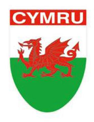 Cymru Dragon Shield Window Cling|Sticr Draig Goch