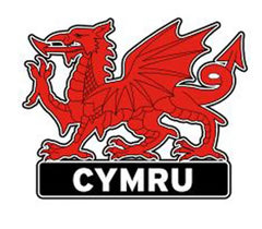 Cymru Epoxy Dragon Magnet|Magned Draig Goch Cymru