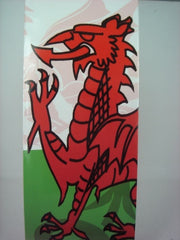 Welsh Dragon Giftbag|Bag Anrheg Draig Goch