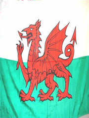 Wales Flag (5x3)|Fflag Cymru (5x3)