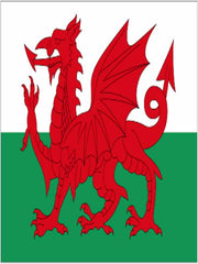Wales Flag (8x5)|Fflag Cymru (8x5)