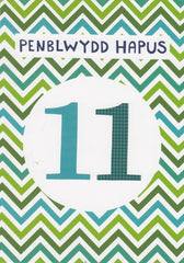 Penblwydd Hapus 11