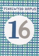 Penblwydd Hapus 16