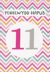 Penblwydd Hapus 11