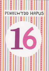 Penblwydd Hapus 16