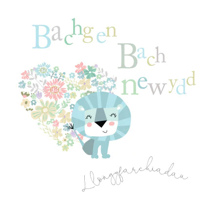 Bachgen Bach Newydd, Llongyfarchiadau