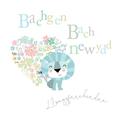 Bachgen Bach Newydd, Llongyfarchiadau