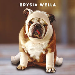 Brysia Wella