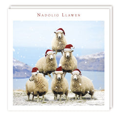 Nadolig Llawen (pack) |Nadolig Llawen (pecyn)