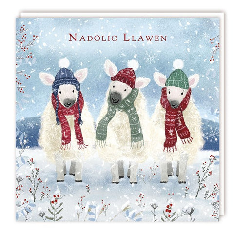 Nadolig Llawen (pack) |Nadolig Llawen (pecyn)