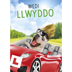 Wedi Llwyddo