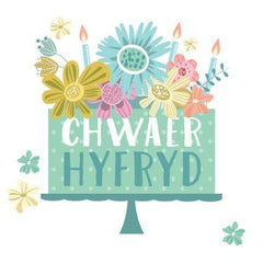 Chwaer Hyfryd