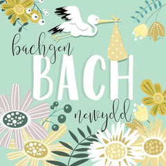 Bachgen Bach Newydd